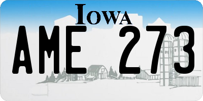 IA license plate AME273