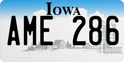 IA license plate AME286