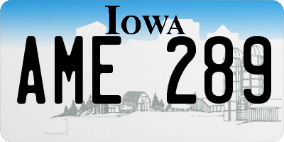IA license plate AME289