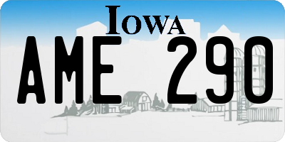 IA license plate AME290