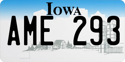IA license plate AME293