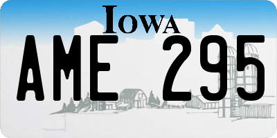 IA license plate AME295