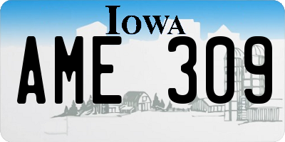 IA license plate AME309