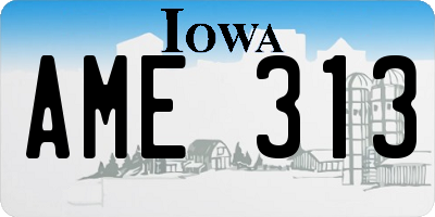 IA license plate AME313