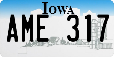 IA license plate AME317