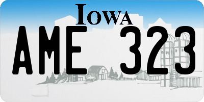 IA license plate AME323