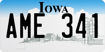 IA license plate AME341