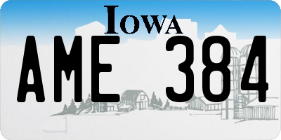 IA license plate AME384