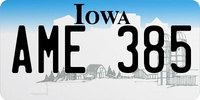 IA license plate AME385