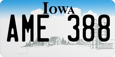 IA license plate AME388