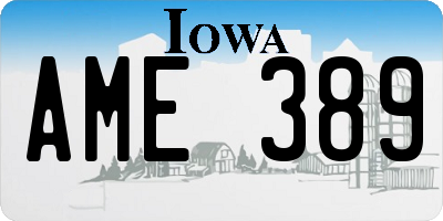 IA license plate AME389