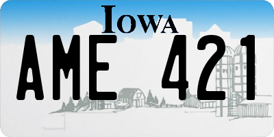 IA license plate AME421