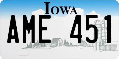IA license plate AME451