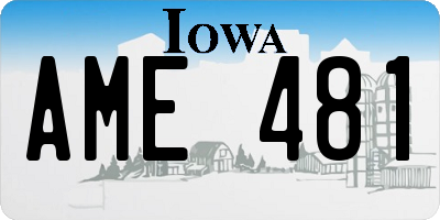 IA license plate AME481