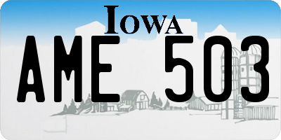 IA license plate AME503