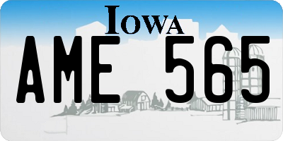 IA license plate AME565