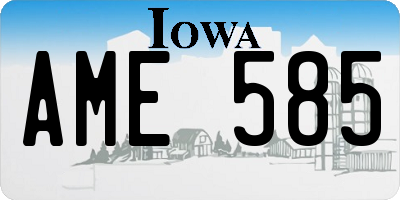 IA license plate AME585
