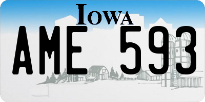 IA license plate AME593