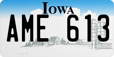 IA license plate AME613