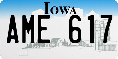 IA license plate AME617