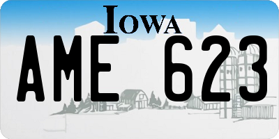 IA license plate AME623