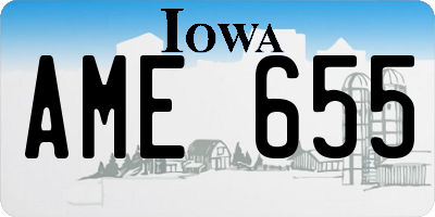 IA license plate AME655