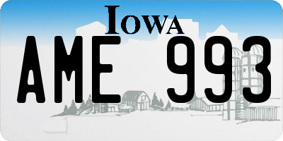 IA license plate AME993