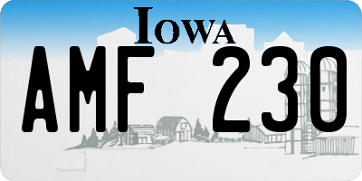 IA license plate AMF230