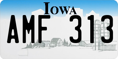 IA license plate AMF313