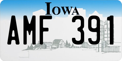 IA license plate AMF391