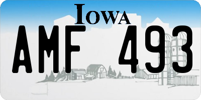 IA license plate AMF493
