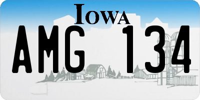 IA license plate AMG134