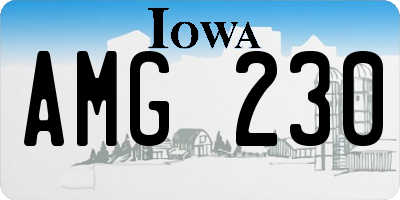 IA license plate AMG230