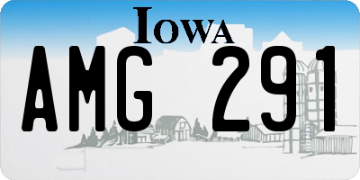 IA license plate AMG291