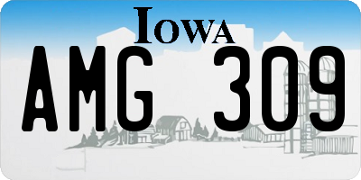 IA license plate AMG309