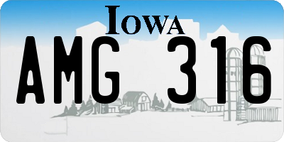 IA license plate AMG316