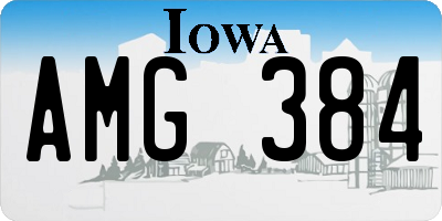 IA license plate AMG384