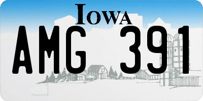 IA license plate AMG391
