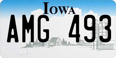 IA license plate AMG493