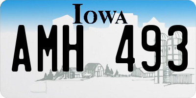IA license plate AMH493