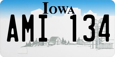 IA license plate AMI134