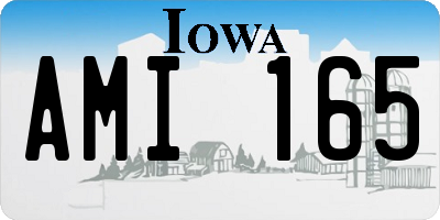 IA license plate AMI165