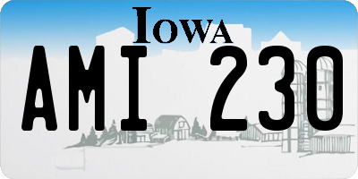 IA license plate AMI230