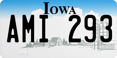 IA license plate AMI293