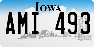 IA license plate AMI493