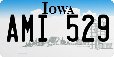 IA license plate AMI529