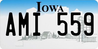 IA license plate AMI559