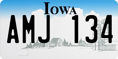 IA license plate AMJ134