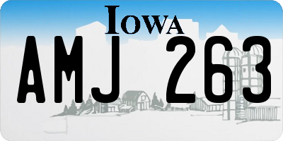 IA license plate AMJ263
