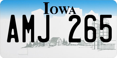 IA license plate AMJ265
